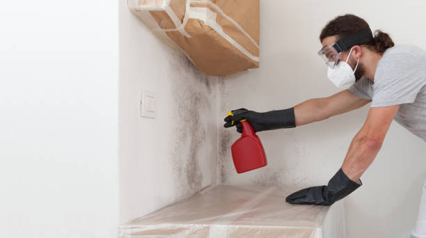 Professional Attic Mold Removal technician working in Richland, MI