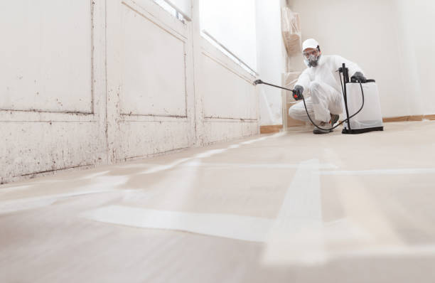 24/7 Emergency Attic Mold Removal experts in Richland, MI